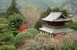 護国山東光寺の名の由来