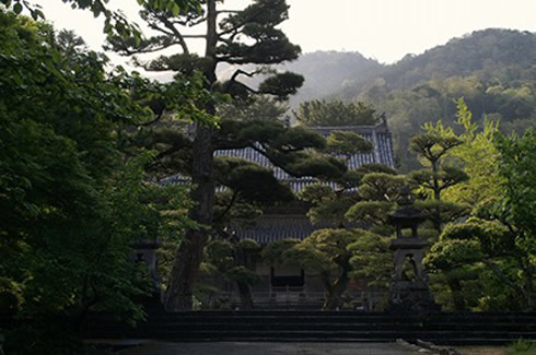 境内の植物